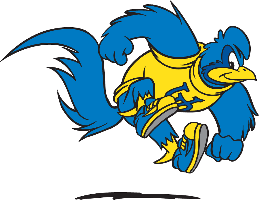 Delaware Blue Hens 1999-2009 Mascot Logo v5 t shirts iron on transfers